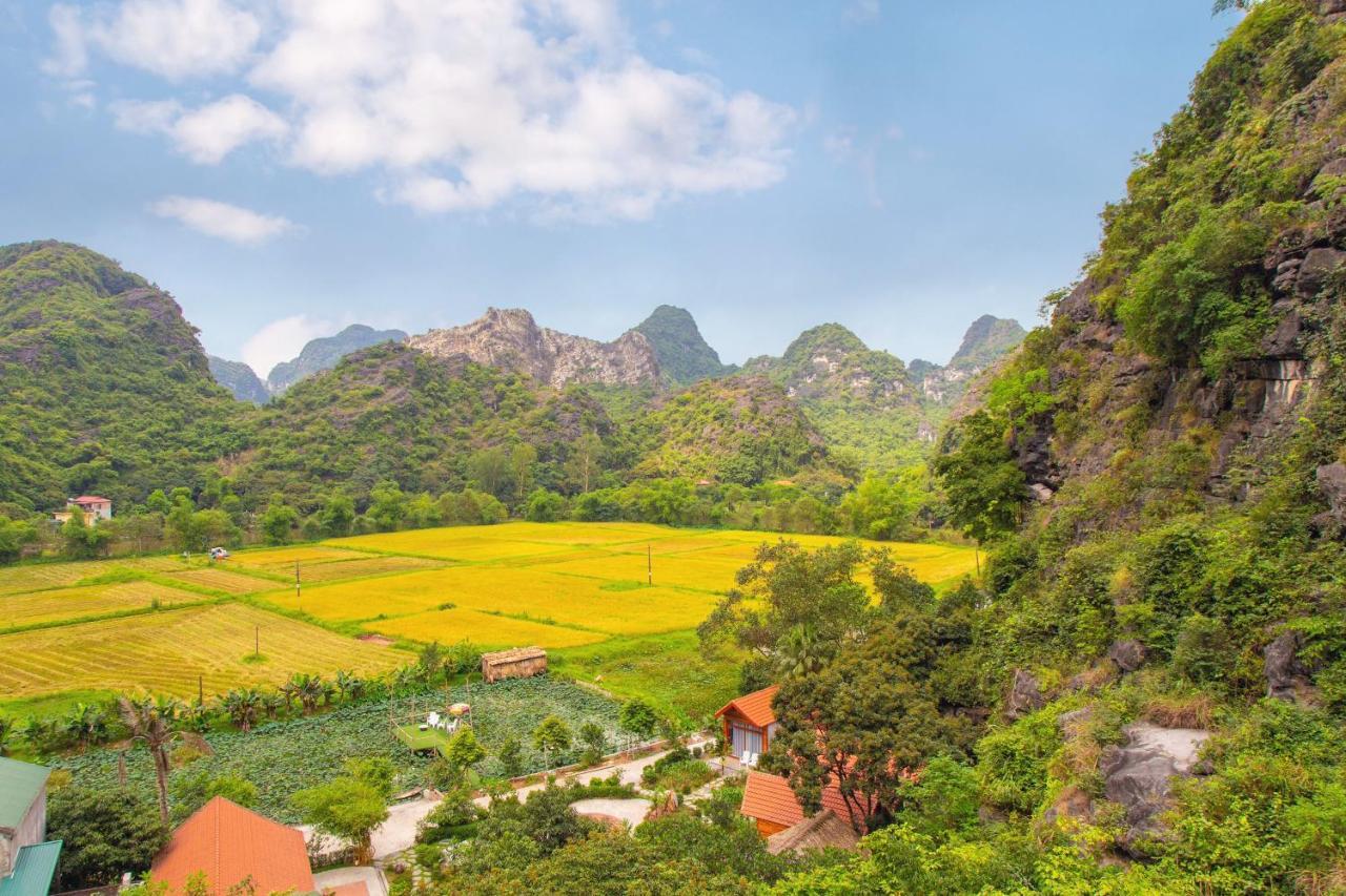 Green Mountain Homestay Ninh Binh Bagian luar foto