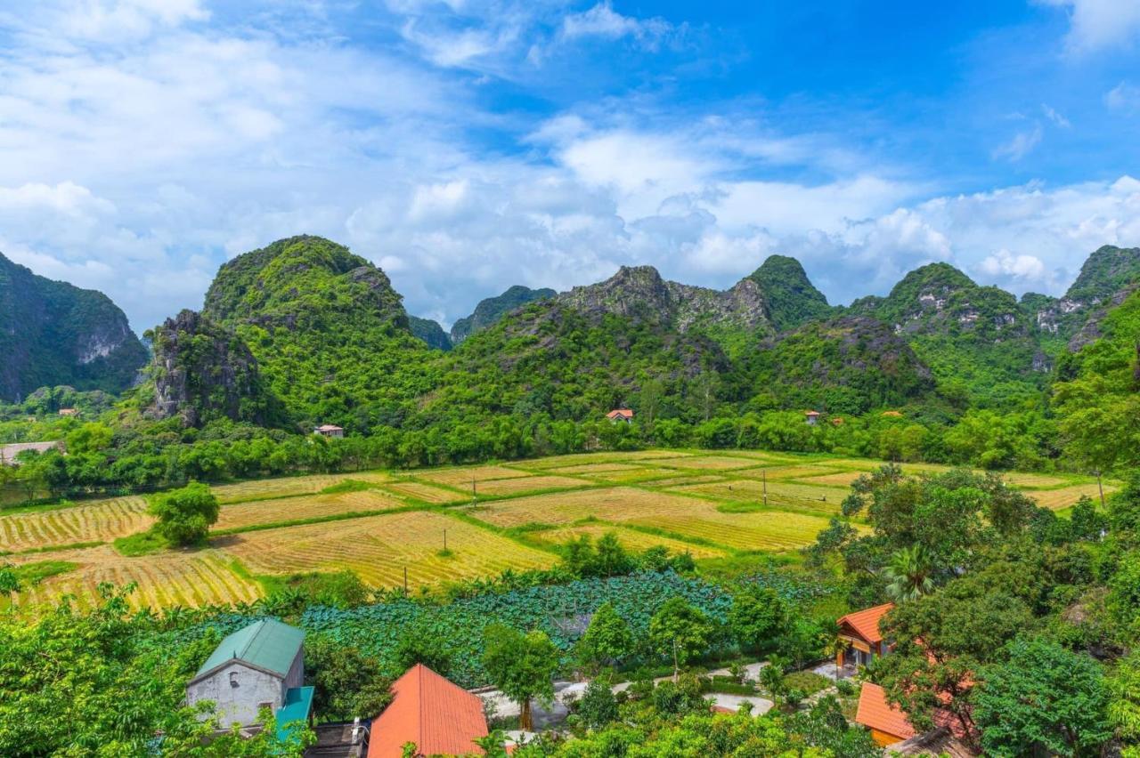 Green Mountain Homestay Ninh Binh Bagian luar foto