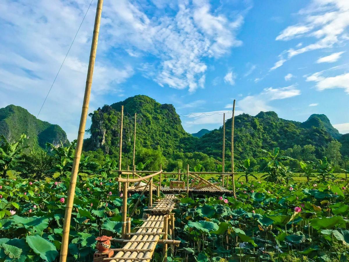 Green Mountain Homestay Ninh Binh Bagian luar foto